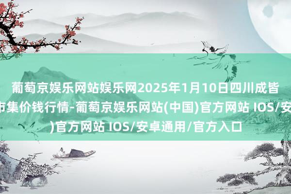葡萄京娱乐网站娱乐网2025年1月10日四川成皆农居品中心批发市集价钱行情-葡萄京娱乐网站(中国)官方网站 IOS/安卓通用/官方入口