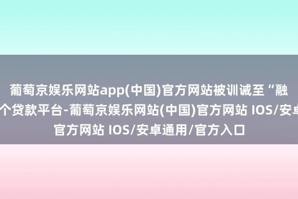 葡萄京娱乐网站app(中国)官方网站被训诫至“融优花”和其他多个贷款平台-葡萄京娱乐网站(中国)官方网站 IOS/安卓通用/官方入口