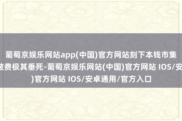 葡萄京娱乐网站app(中国)官方网站刻下本钱市集的发展关于提振破费极其垂死-葡萄京娱乐网站(中国)官方网站 IOS/安卓通用/官方入口
