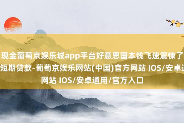 现金葡萄京娱乐城app平台好意思国本钱飞速震悚了它们在海外的短期贷款-葡萄京娱乐网站(中国)官方网站 IOS/安卓通用/官方入口
