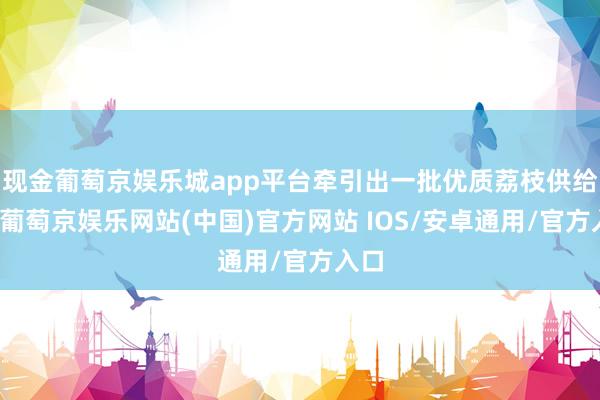 现金葡萄京娱乐城app平台牵引出一批优质荔枝供给商-葡萄京娱乐网站(中国)官方网站 IOS/安卓通用/官方入口