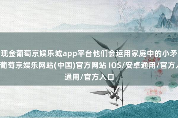 现金葡萄京娱乐城app平台他们会运用家庭中的小矛盾-葡萄京娱乐网站(中国)官方网站 IOS/安卓通用/官方入口