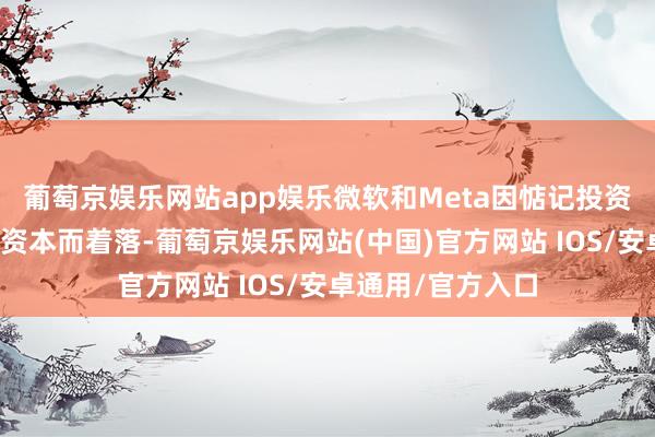 葡萄京娱乐网站app娱乐微软和Meta因惦记投资东谈主工智能的资本而着落-葡萄京娱乐网站(中国)官方网站 IOS/安卓通用/官方入口