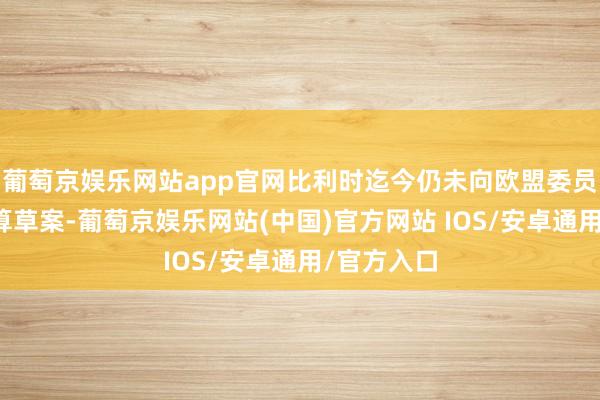 葡萄京娱乐网站app官网比利时迄今仍未向欧盟委员会提交预算草案-葡萄京娱乐网站(中国)官方网站 IOS/安卓通用/官方入口