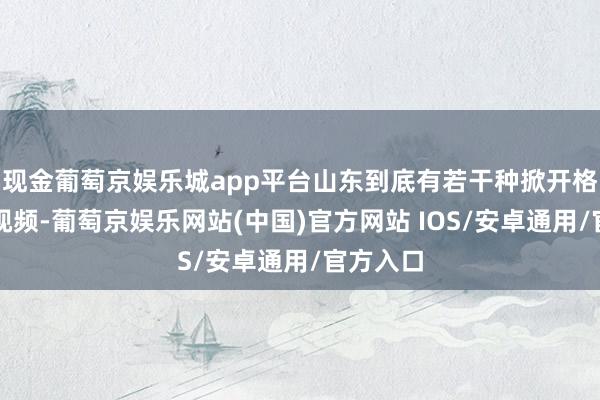 现金葡萄京娱乐城app平台山东到底有若干种掀开格式？戳视频-葡萄京娱乐网站(中国)官方网站 IOS/安卓通用/官方入口