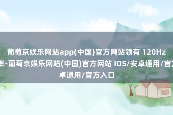 葡萄京娱乐网站app(中国)官方网站领有 120Hz 刷新率-葡萄京娱乐网站(中国)官方网站 IOS/安卓通用/官方入口