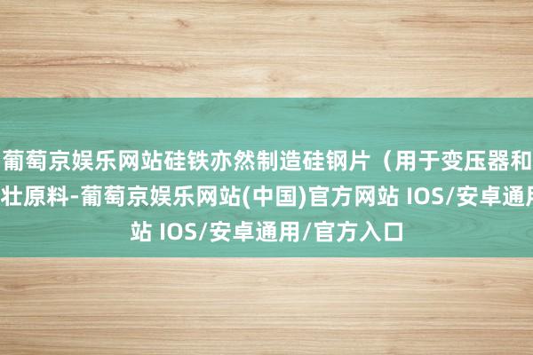 葡萄京娱乐网站硅铁亦然制造硅钢片（用于变压器和电机）的雄壮原料-葡萄京娱乐网站(中国)官方网站 IOS/安卓通用/官方入口