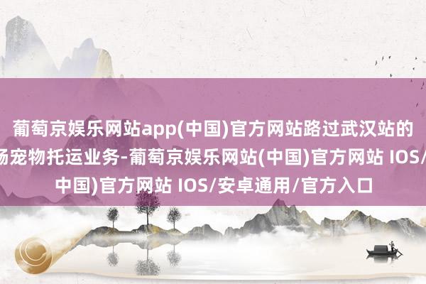葡萄京娱乐网站app(中国)官方网站路过武汉站的多趟列车也认真通畅宠物托运业务-葡萄京娱乐网站(中国)官方网站 IOS/安卓通用/官方入口
